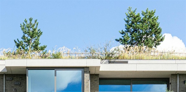Alla scoperta delle nostre federazioni: Habitat